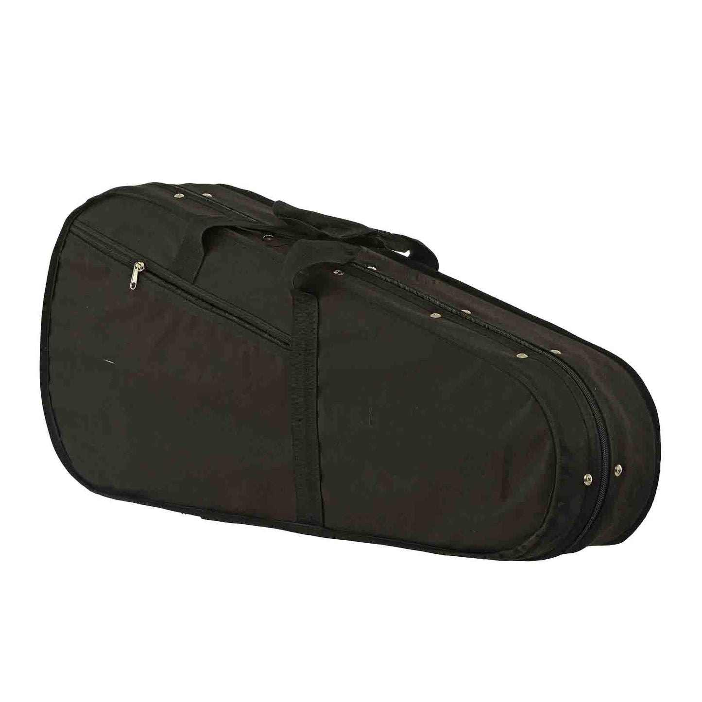 Case for Kentucky KM-858 Gold Artist F-Style Mandolin 