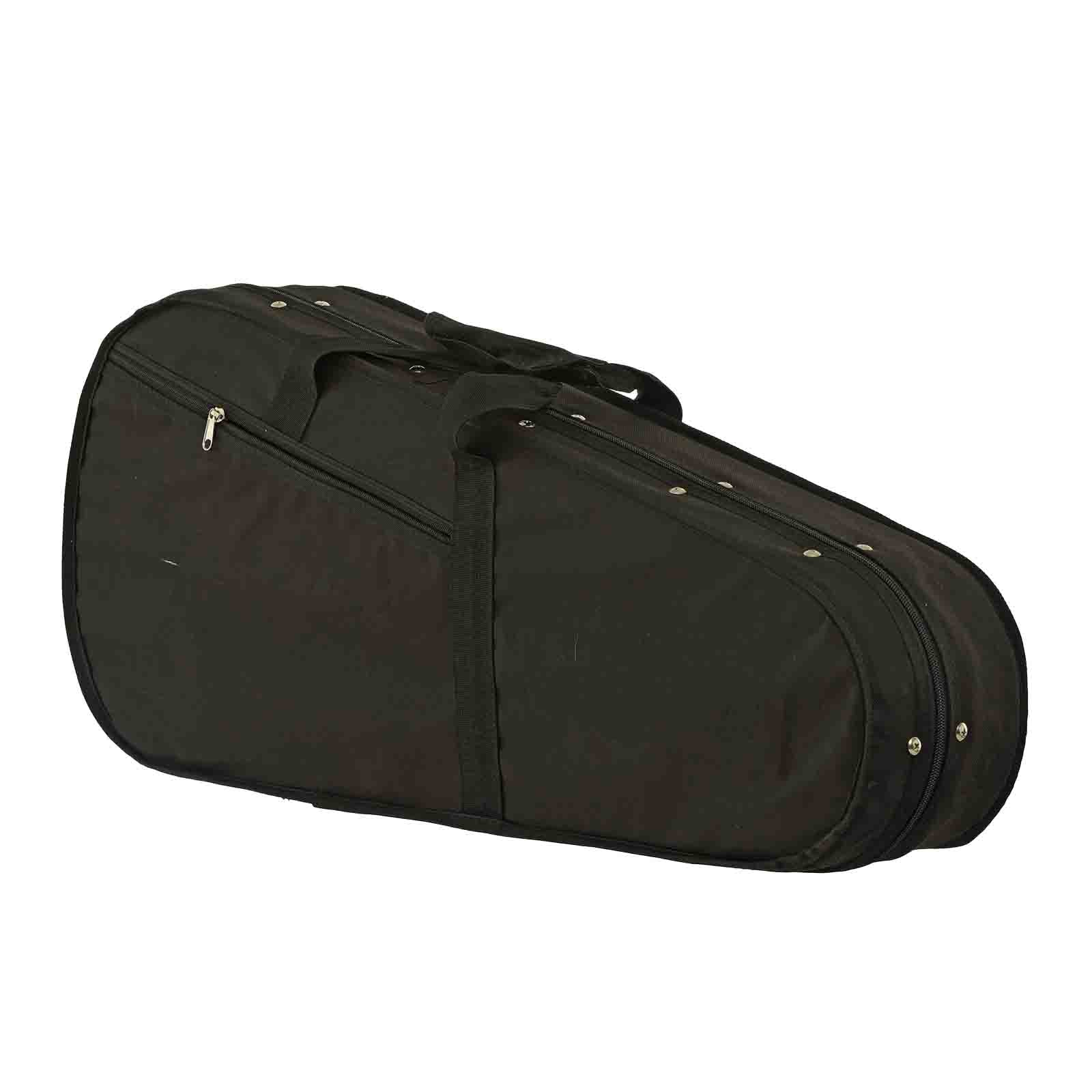Case for Kentucky KM-858 Gold Artist F-Style Mandolin 