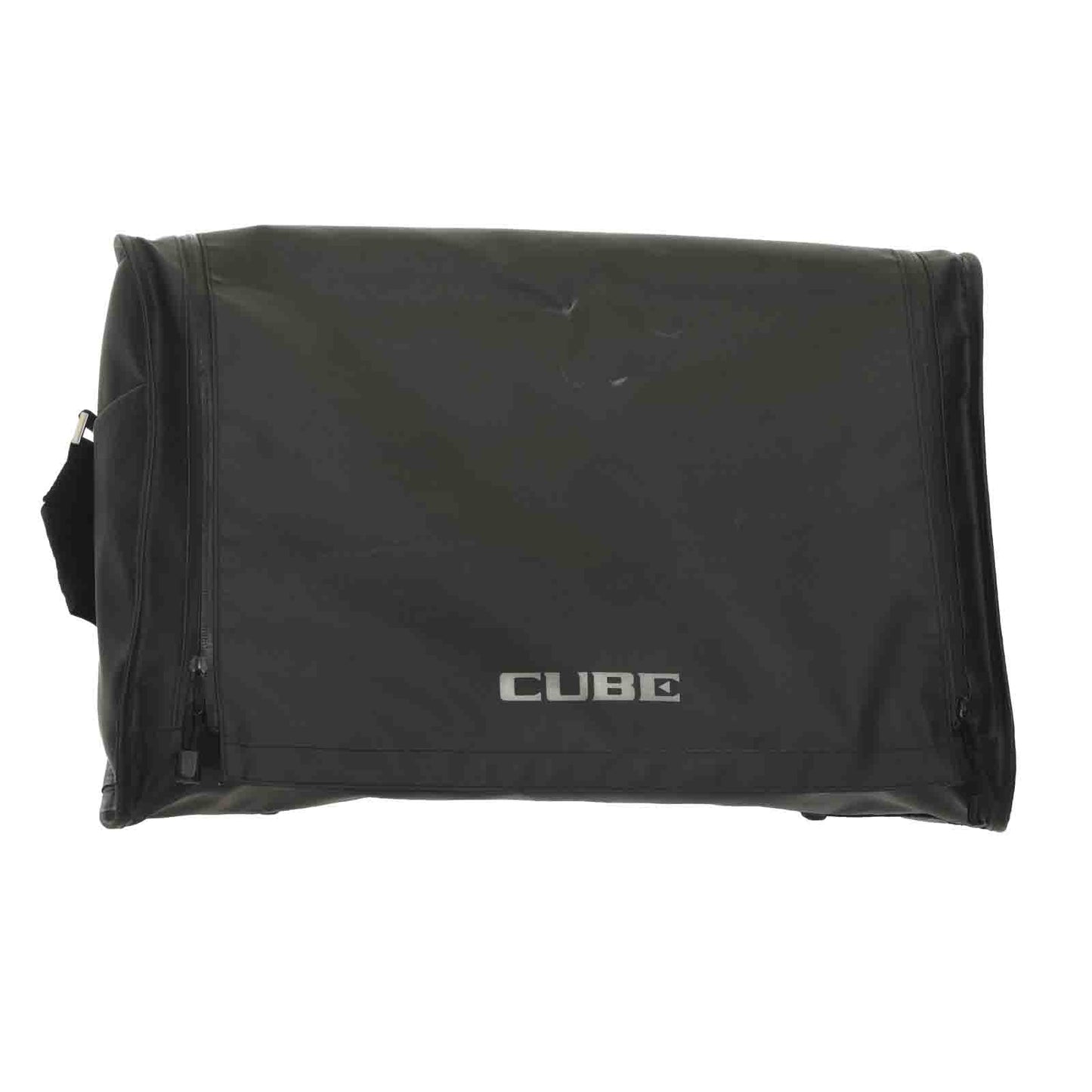 Roland Cube STEX 50 Street Amplifier (2018)