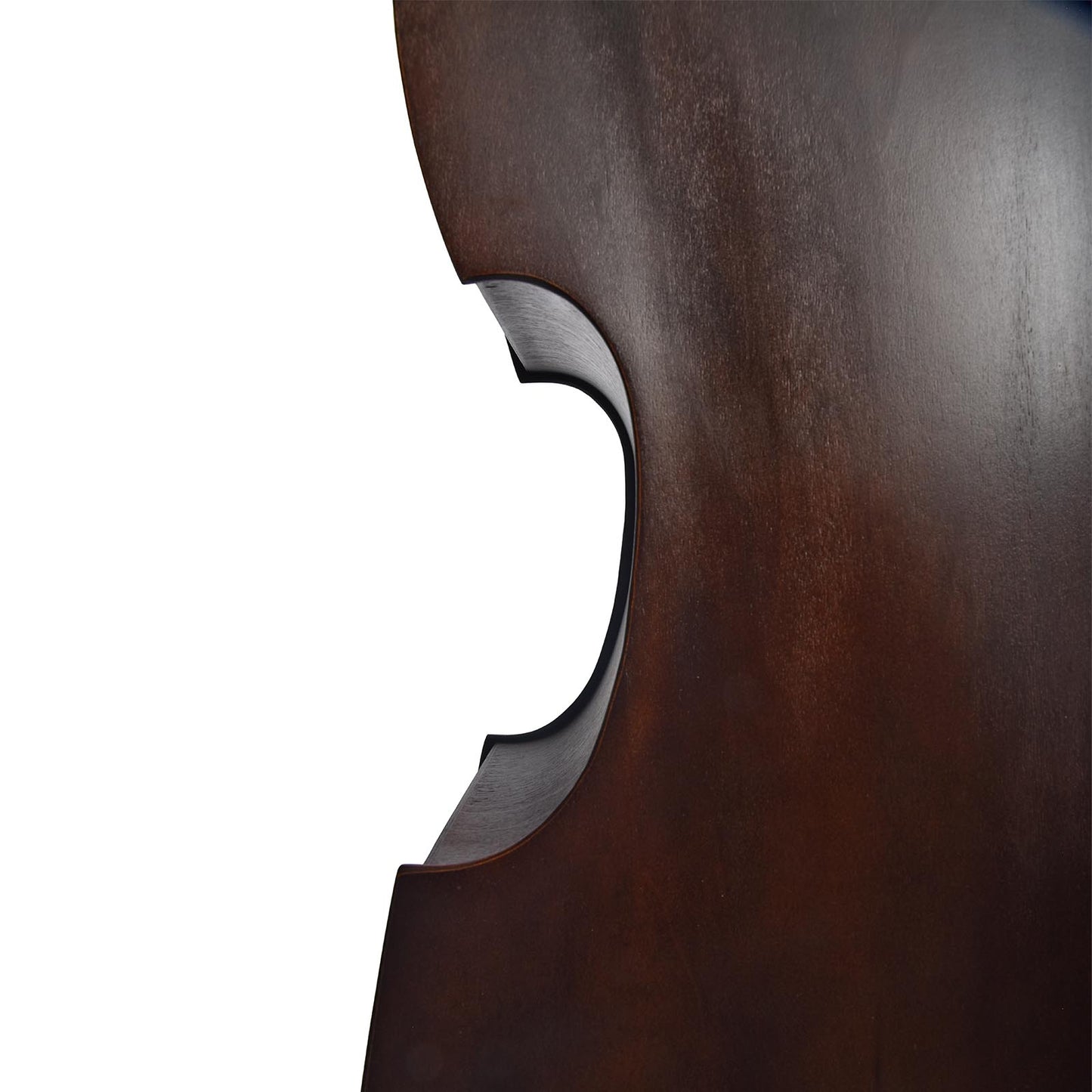 Middle bout of Upton UB Standard 3/4 Bass 