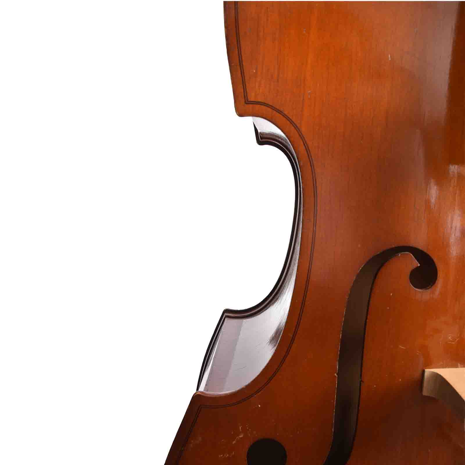 Front waist of Gustav Meinel 3/4 Upright Bass (1974)