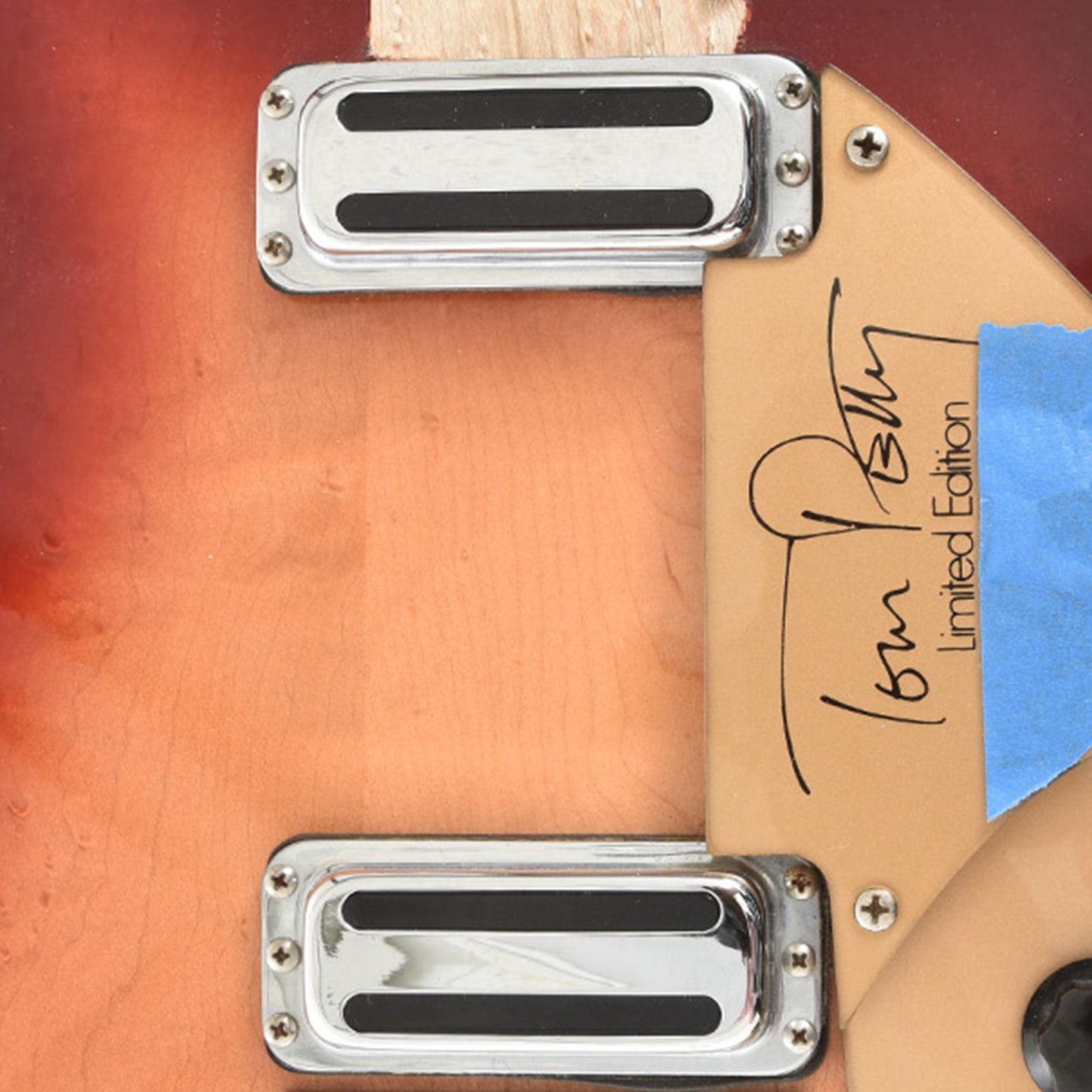 Pickups of  Rickenbacker 660/12 Tom Petty Electric Guitar (2014)