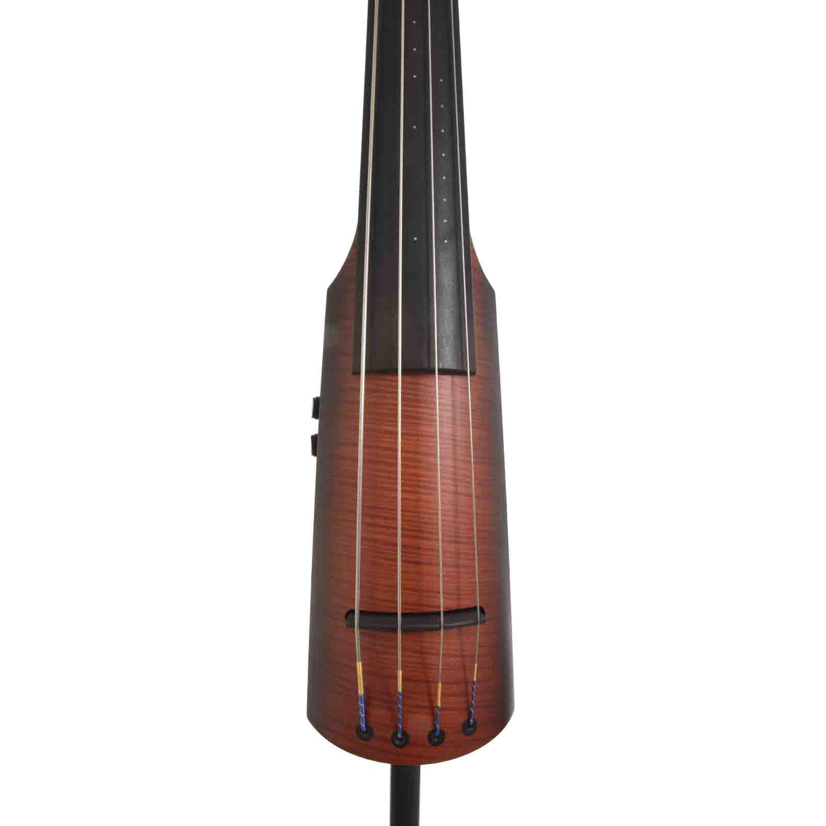 Front of NS Design NXT Upright Fretless Electric Bass