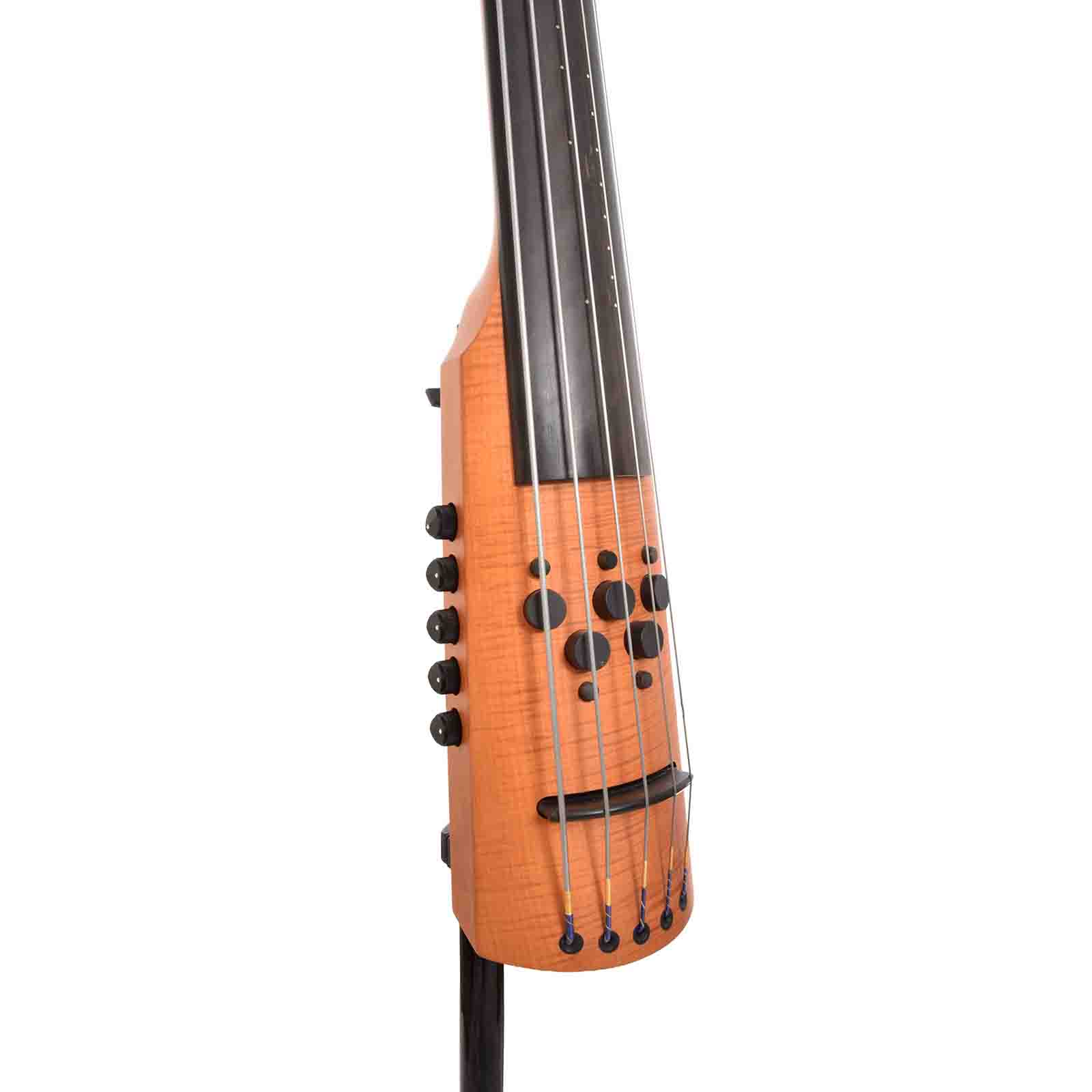 Front & Side of NS Design CR-5M Upright Electric Bass