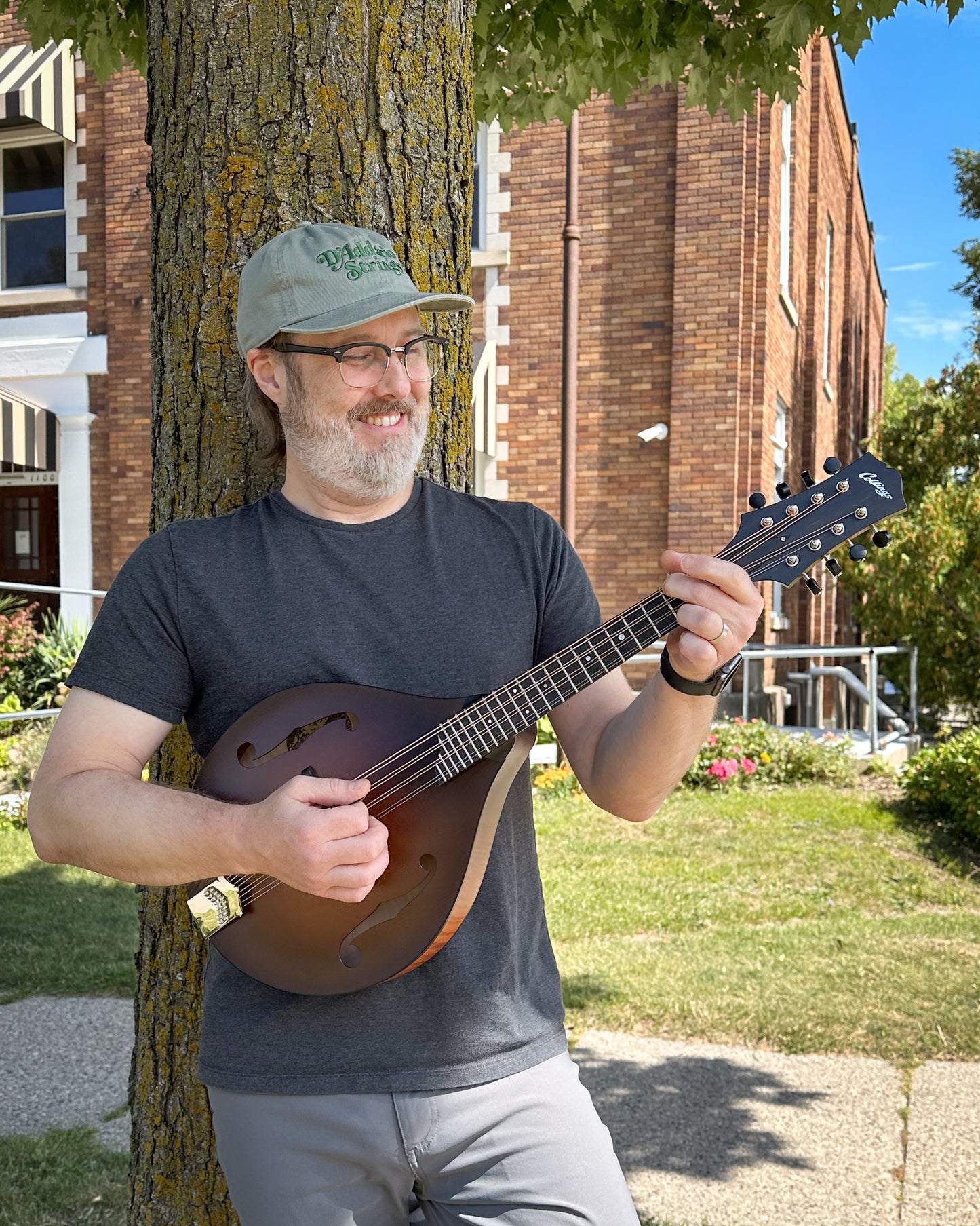 Showroom photo of Collings MT Mandola (c.2020)