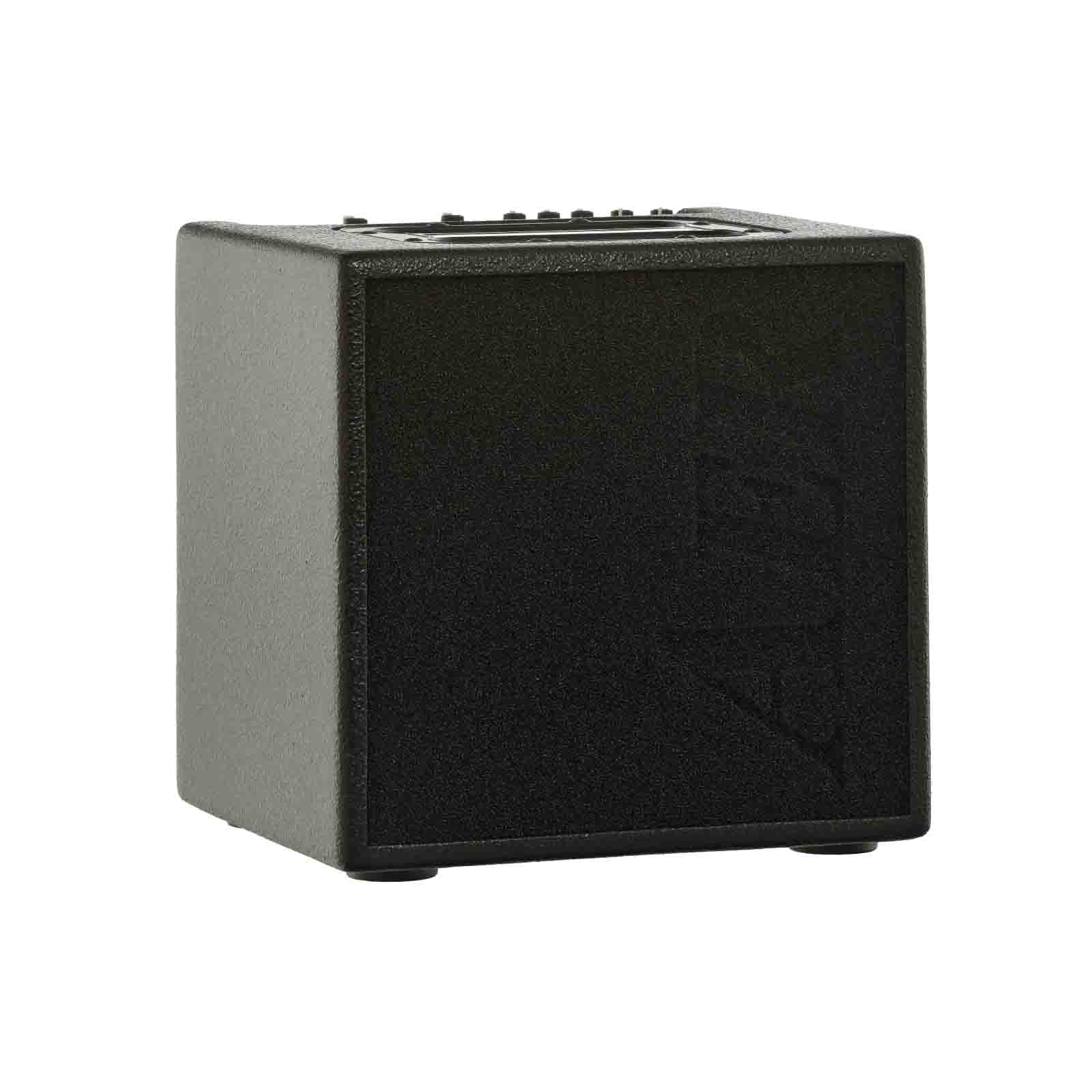 Front and side of AER Alpha Acoustic Amplifier