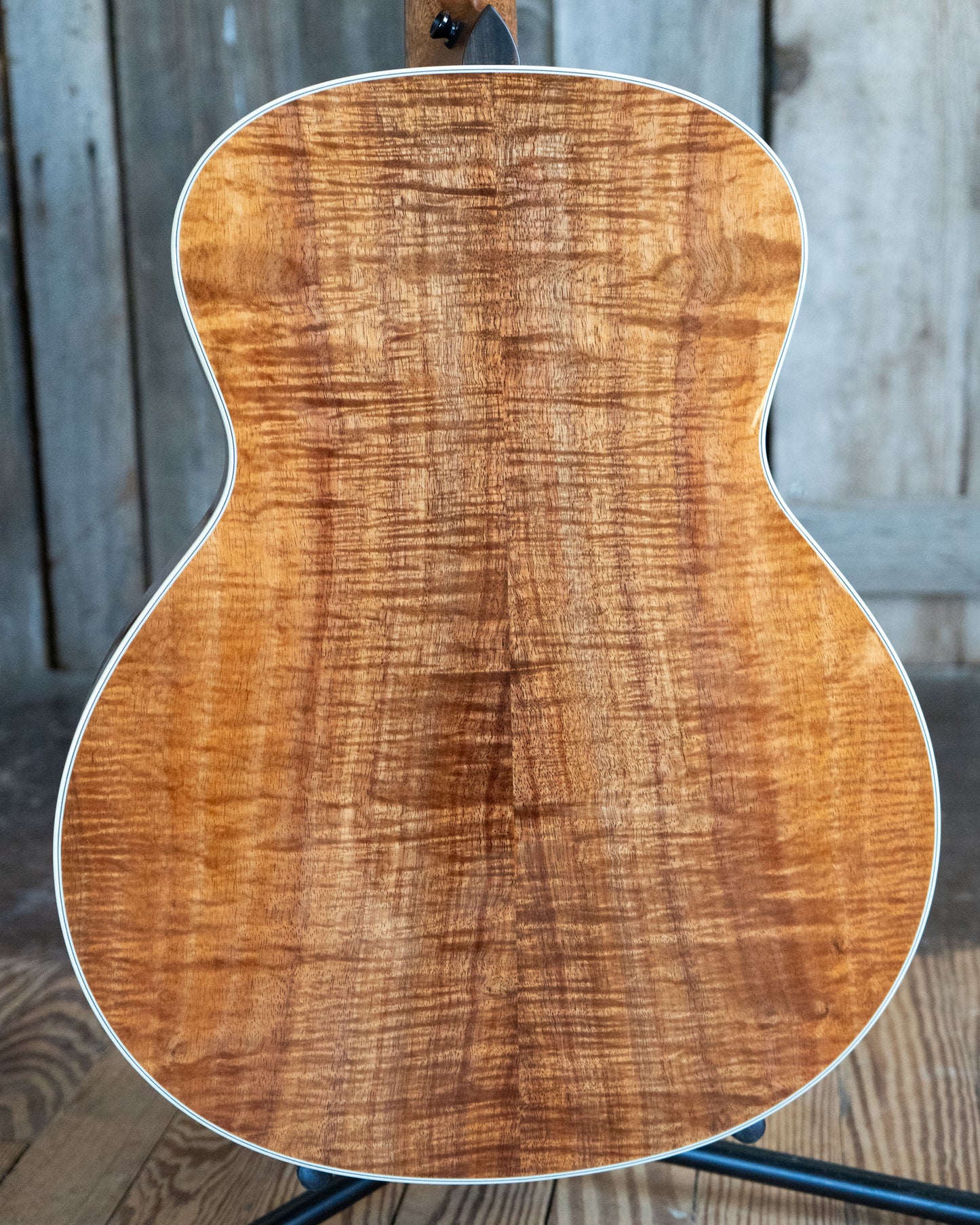 Showroom photo of back Taylor Gold Label 814e Koa Acoustic Guitar & Case
