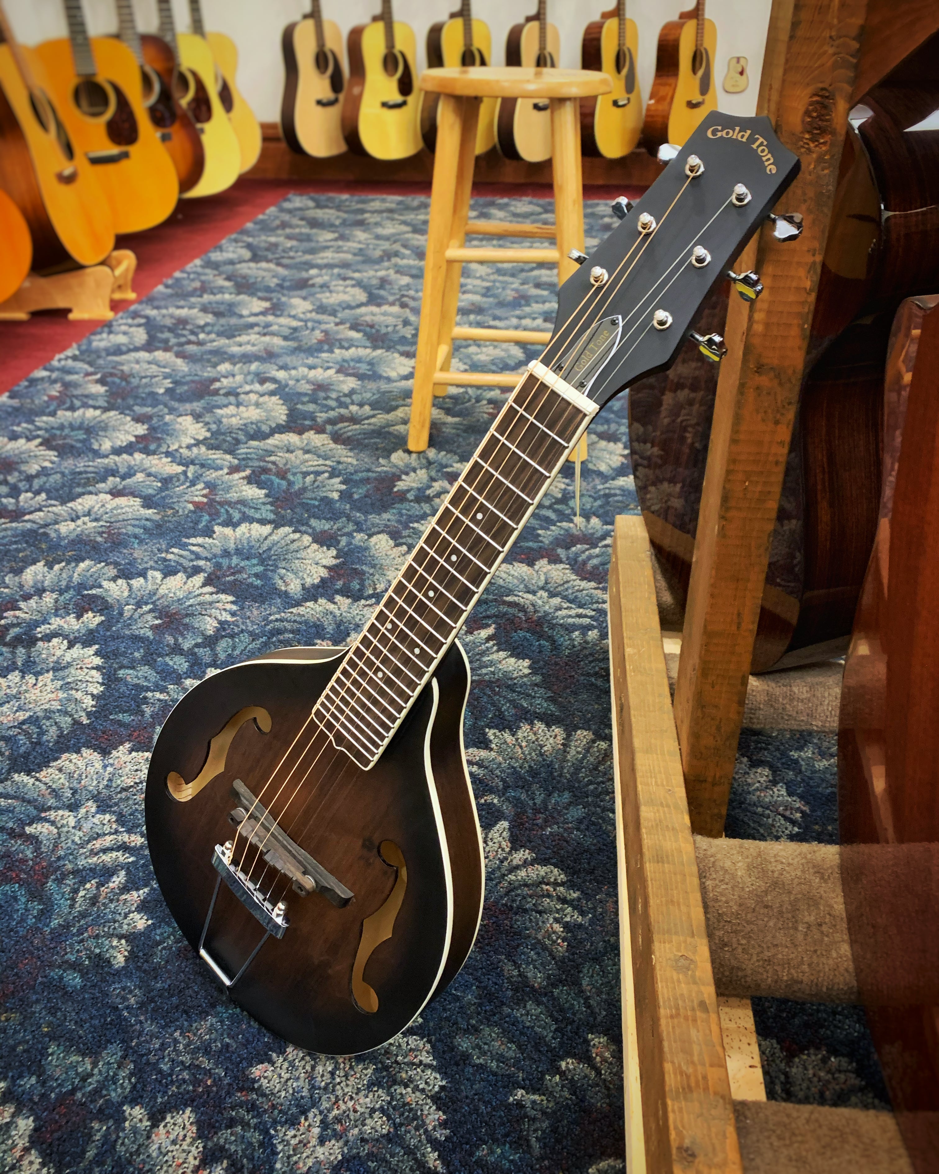Manditar Instrument Gold Tone A-6 Manditar & Gigbag – Elderly Instruments