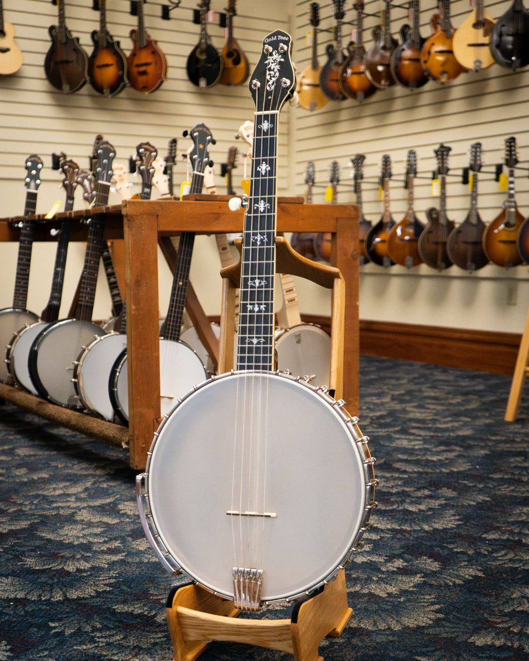 Open Back Banjo Collection for Folk and Clawhammer | Elderly Instruments