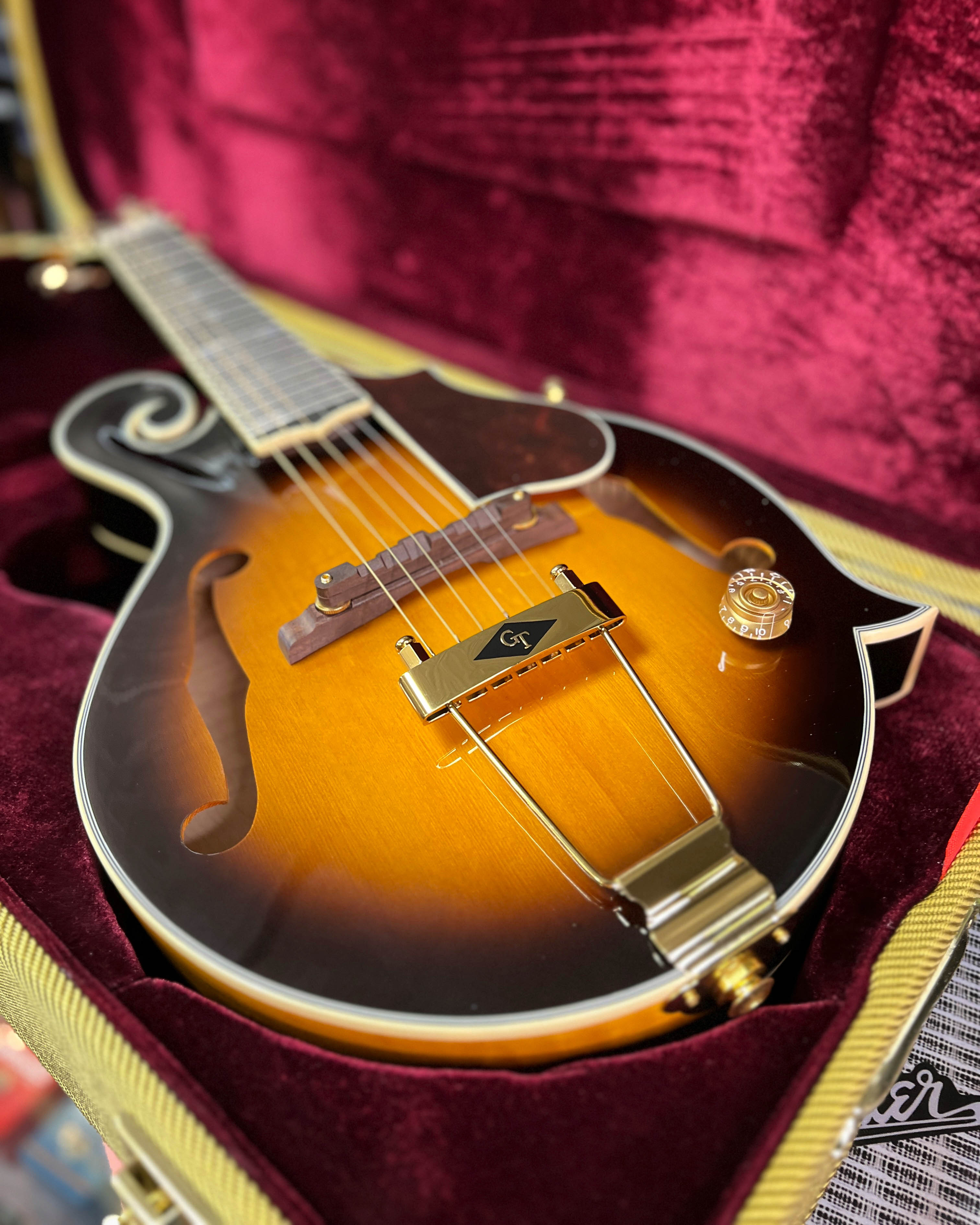 Manditar Instrument Gold Tone F-6+ Acoustic-Electric 6-String Manditar & Case – Elderly ...