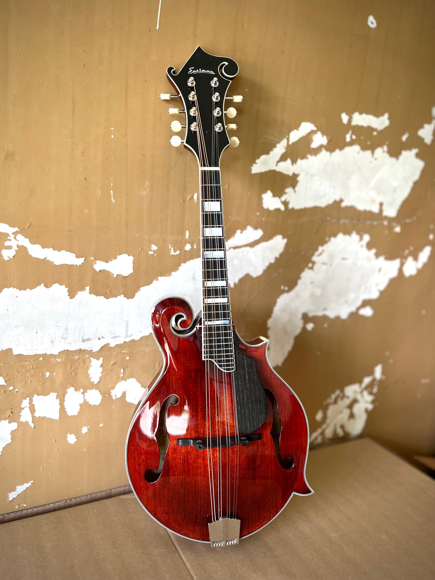 Showroom photo of Eastman MD615 Classic Mandolin & Case