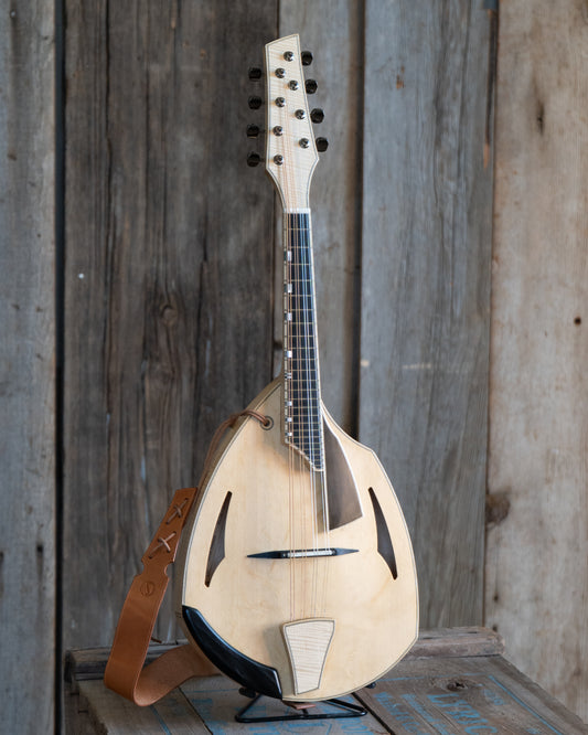 Showroom photo of Martino Quintavalla F-Jazz Mandolin & Case