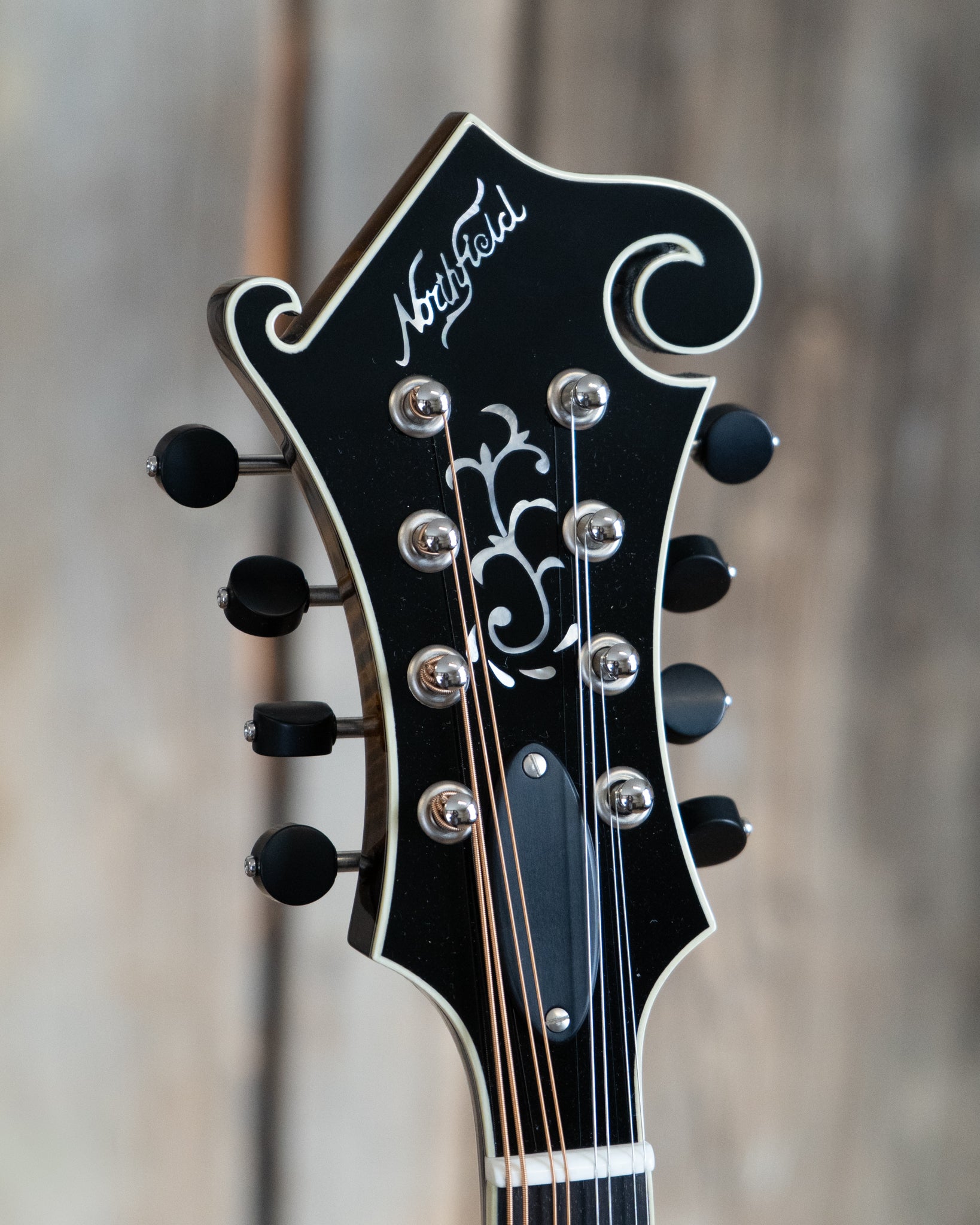 Headtock of Northfield Workshop NFB-F5E Master Model "Big Mon" Mandolin, Engelmann Top