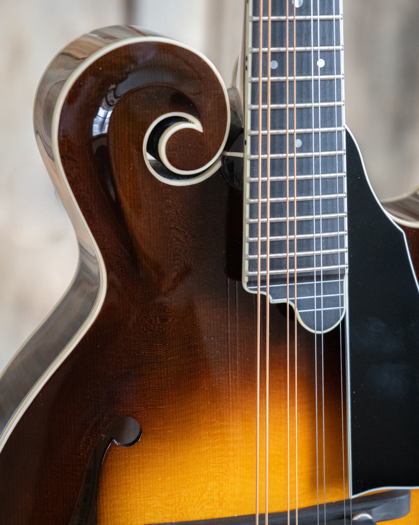Front neck joint of Northfield Workshop NFB-F5E Master Model "Big Mon" Mandolin, Engelmann Top