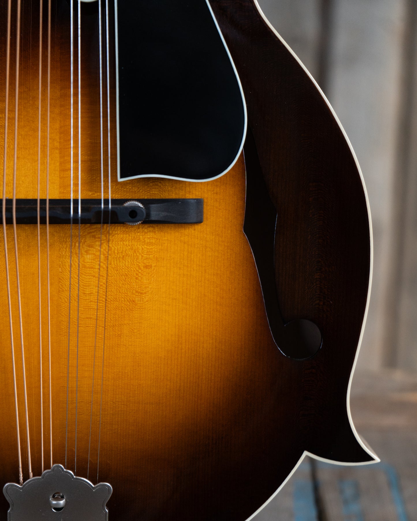Bridge of Northfield Workshop NFB-F5E Master Model "Big Mon" Mandolin, Engelmann Top