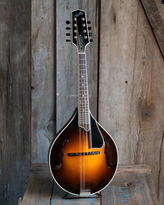 Showroom photo of Northfield NFMSP-A5 A5 Special A-Style Mandolin & Case, Cherryburst