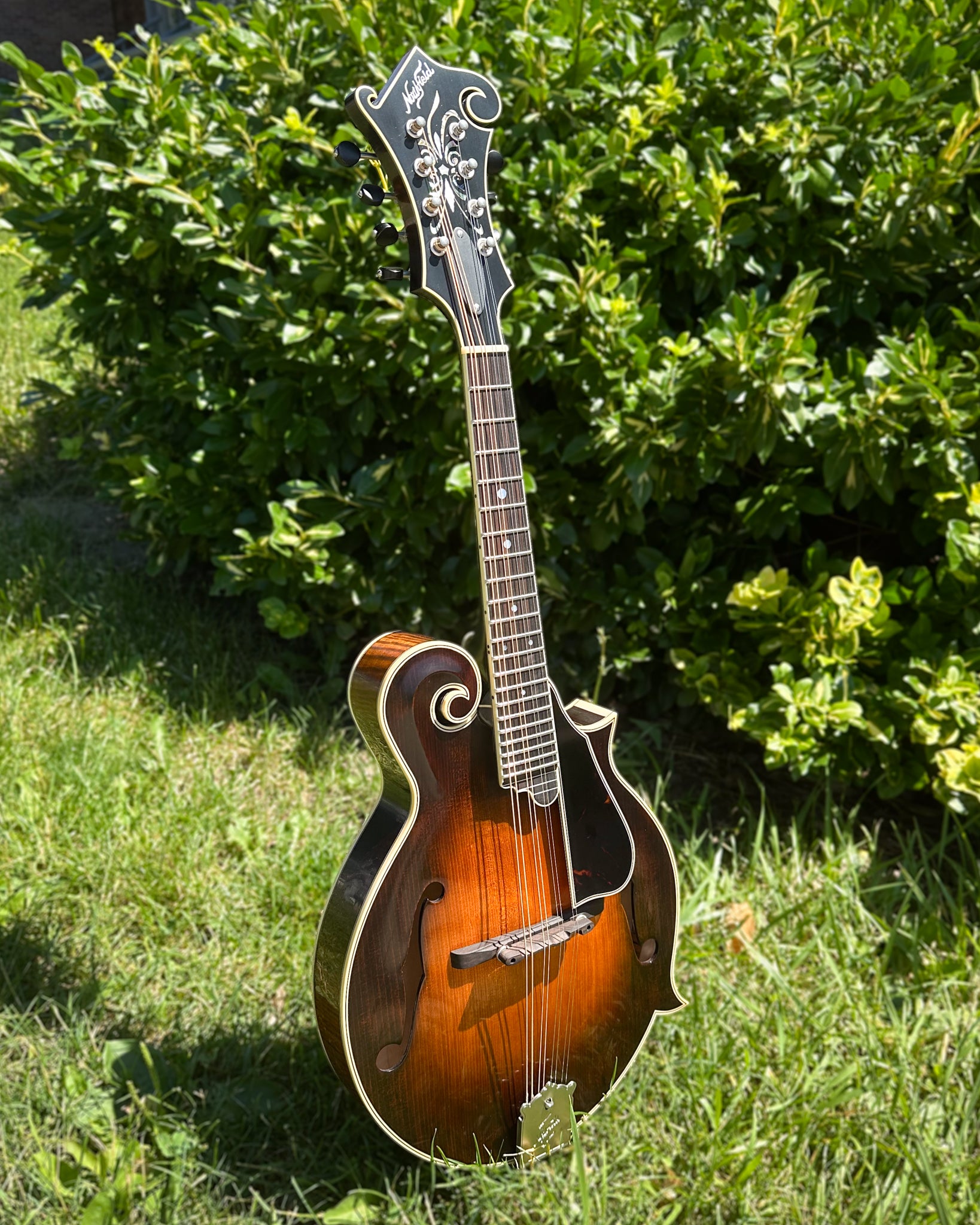 Showroom photo of Northfield NFB-F5Altd Limited Edition Big Mon F-Style Mandolin & Case