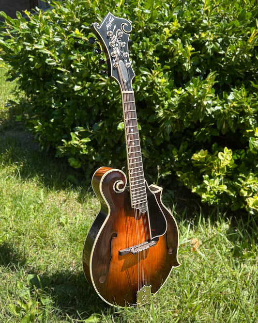 Showroom photo of Northfield NFB-F5Altd Limited Edition Big Mon F-Style Mandolin & Case