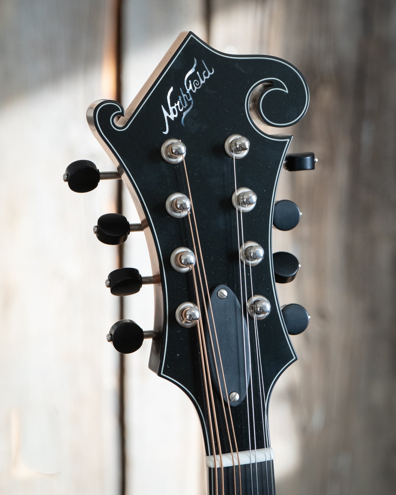 Northfield NFS-F2 S-Series F-Style Oval Hole Mandolin & Case