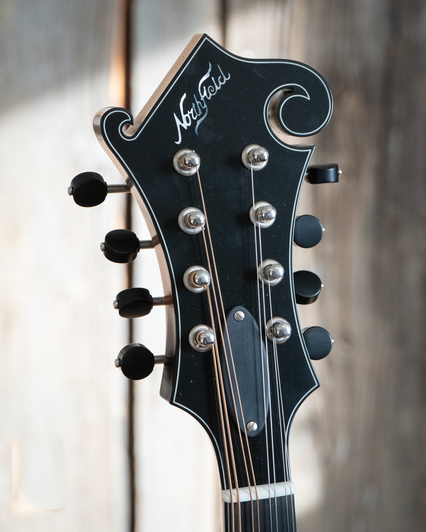 Northfield Workshop  S-Series NFS-F2 Mandolin, Oval Soundhole, with Case