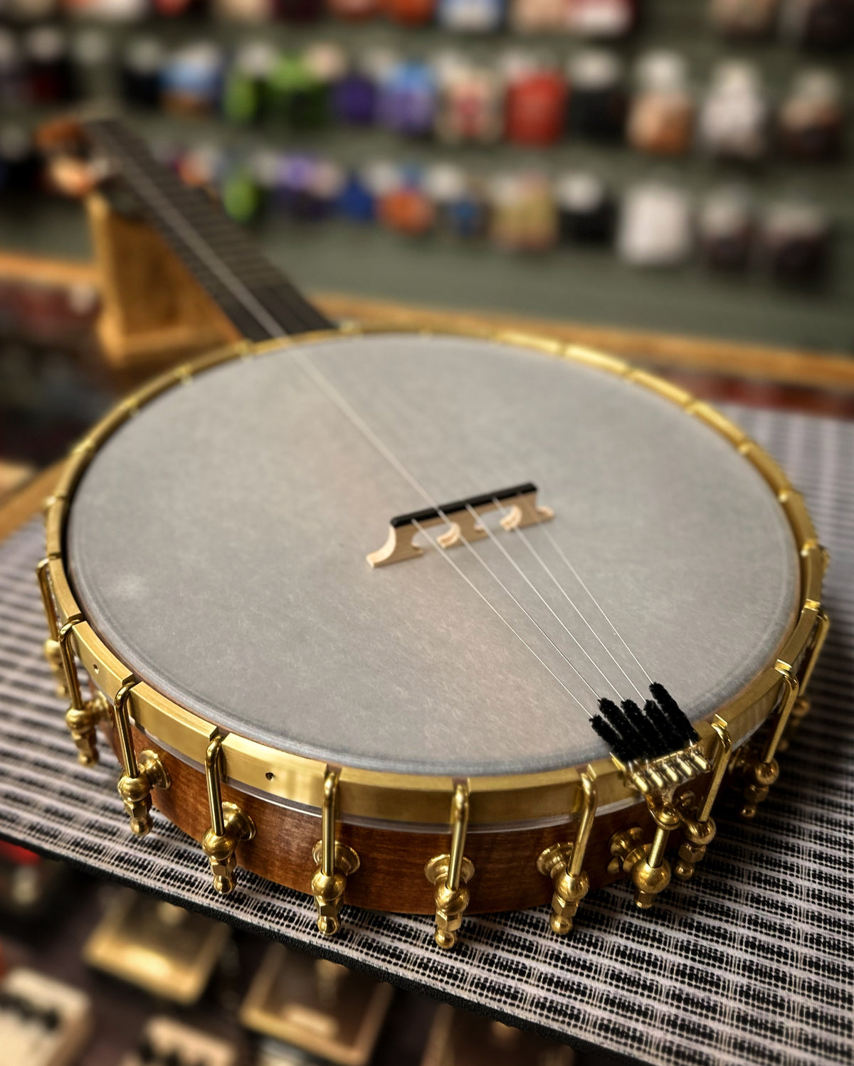 Showroom photo of Full front and side of Ode Moonlight 11" Openback Banjo