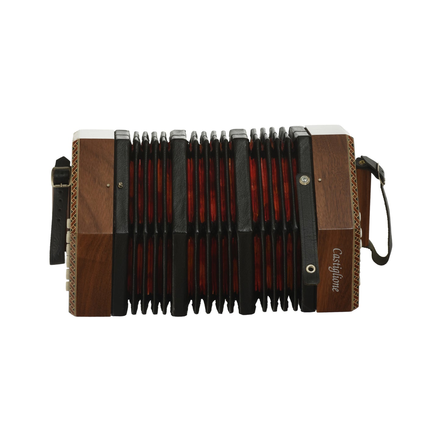 Open bellows of Castiglione 20 Button Anglo Concertina C/G