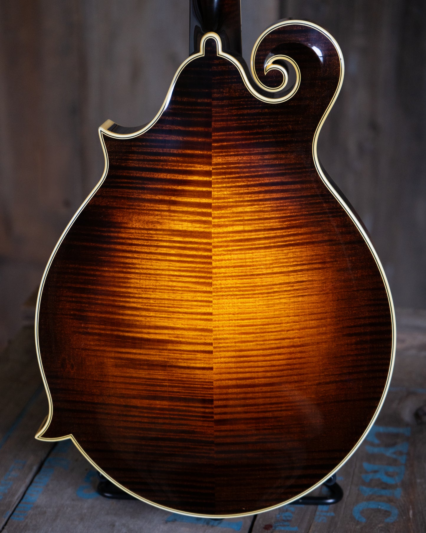 Showroom photo of back of Pava F5 Pro Mandolin & Case, Sunburst Finish