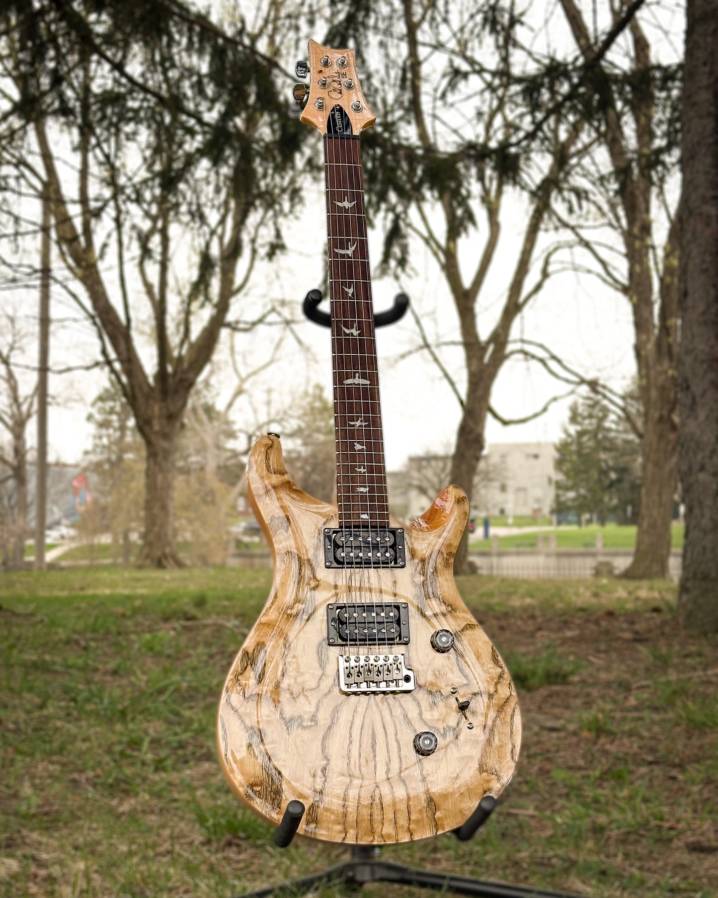 Showroom photo of PRS SE Custom 24 Burled Ash Limited Edition Natural Finish Electric Guitar
