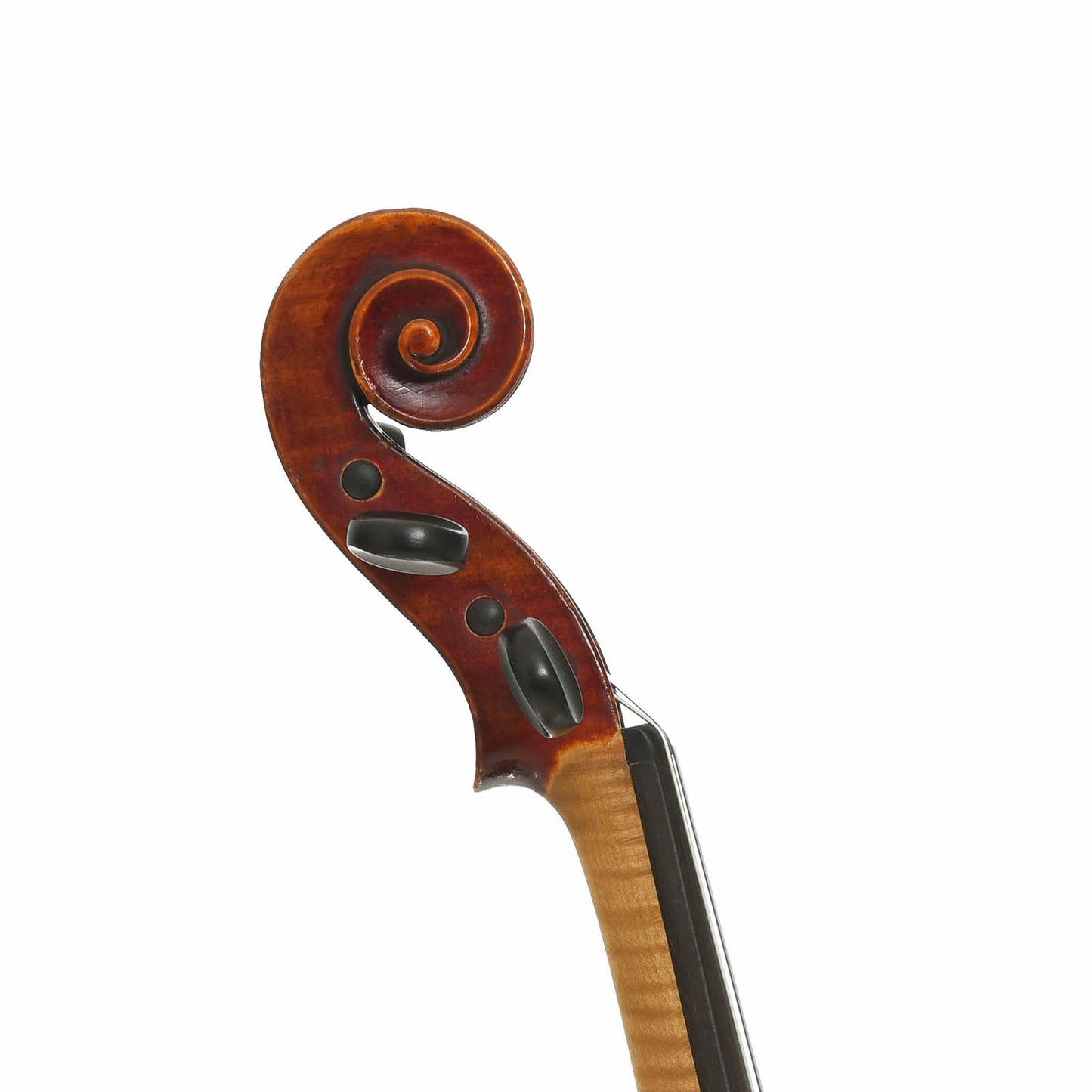 Headstock/scroll of Vuillaume Label Violin