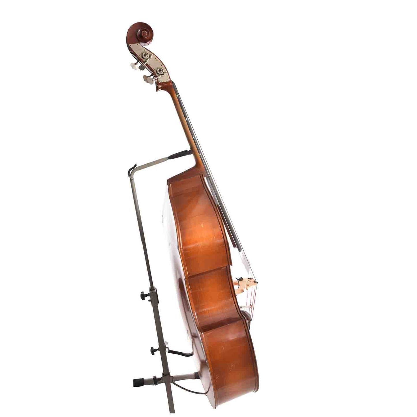 Side of Gustav Meinel 3/4 Upright Bass (1974)