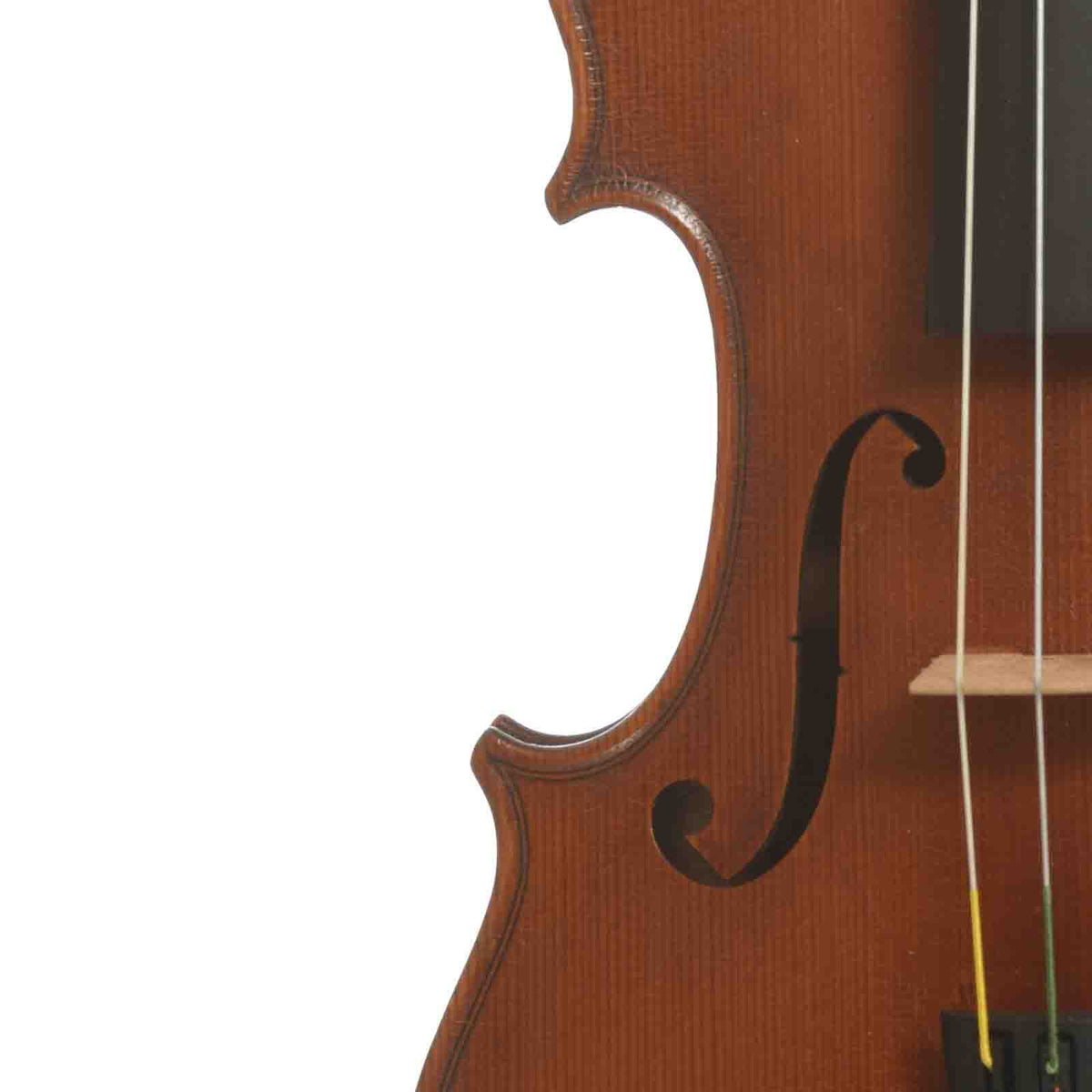 F-hole of German made Strad Label Violin