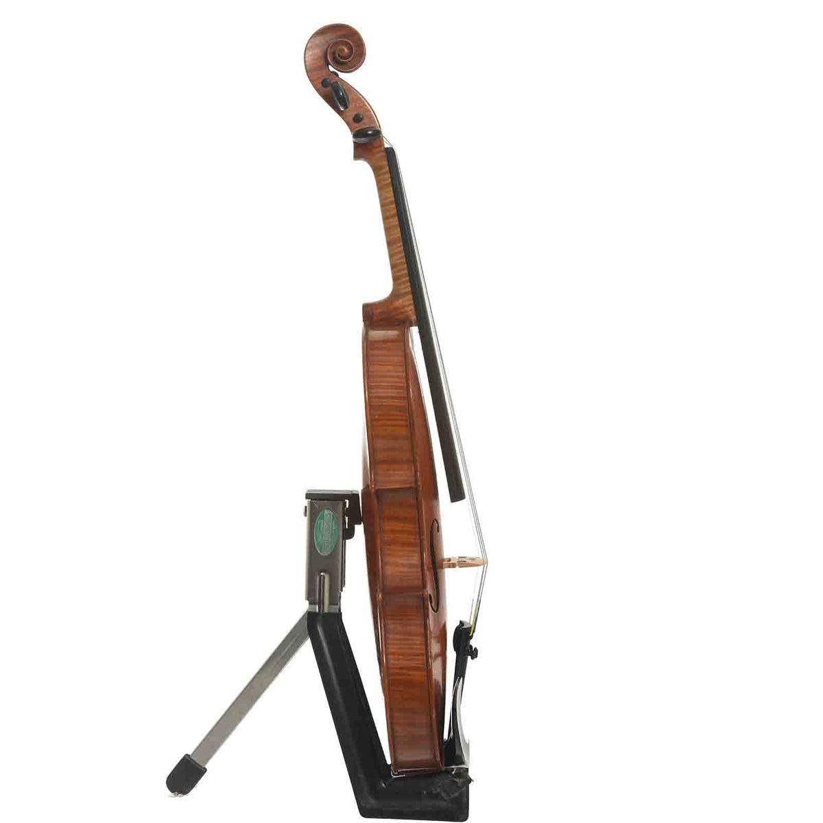 Full side of German made Strad Label Violin