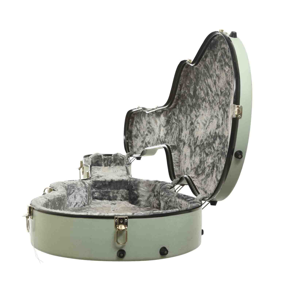 Interior of D-Size Mint Green Hardshell case