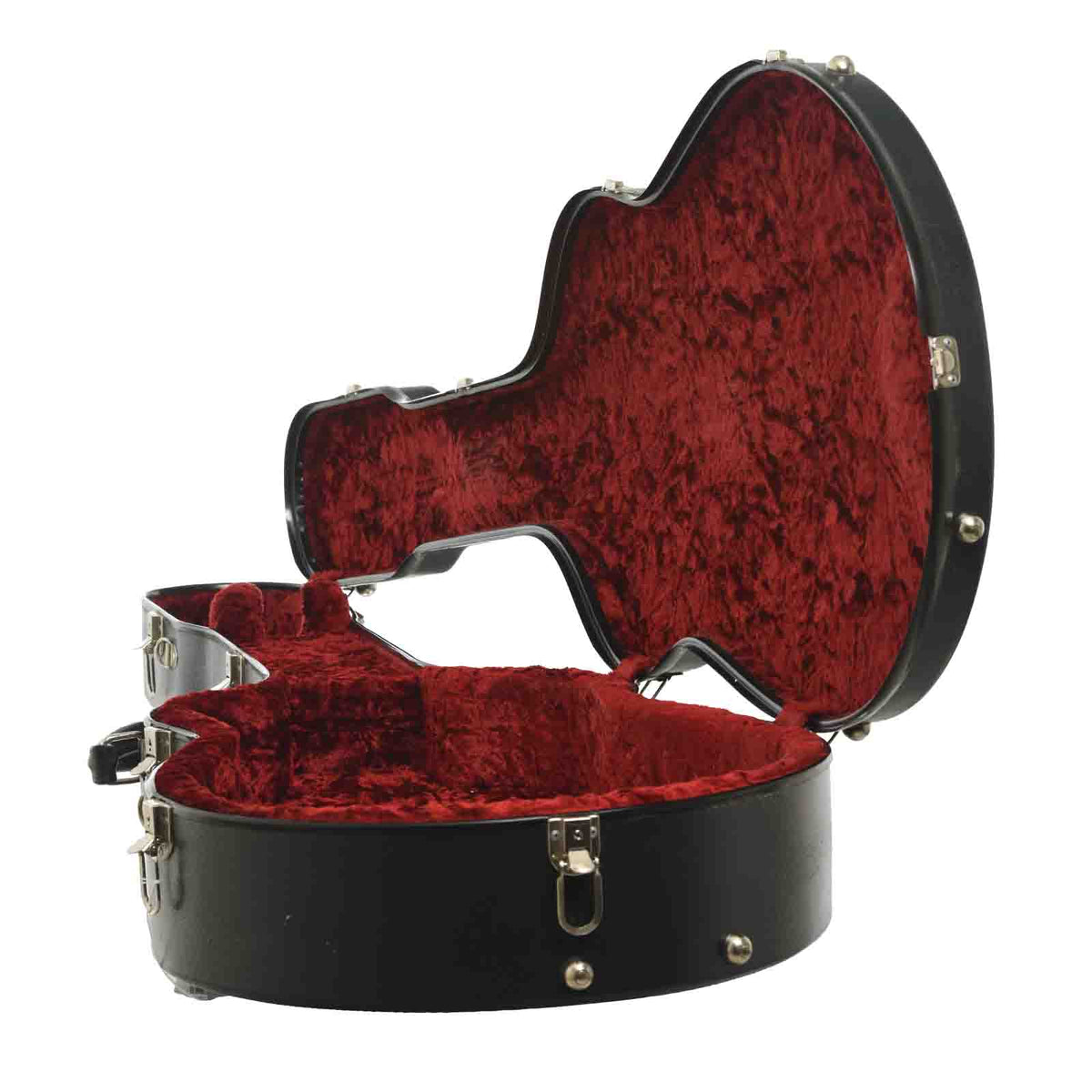 Interior of Calton D-Size hardshell case