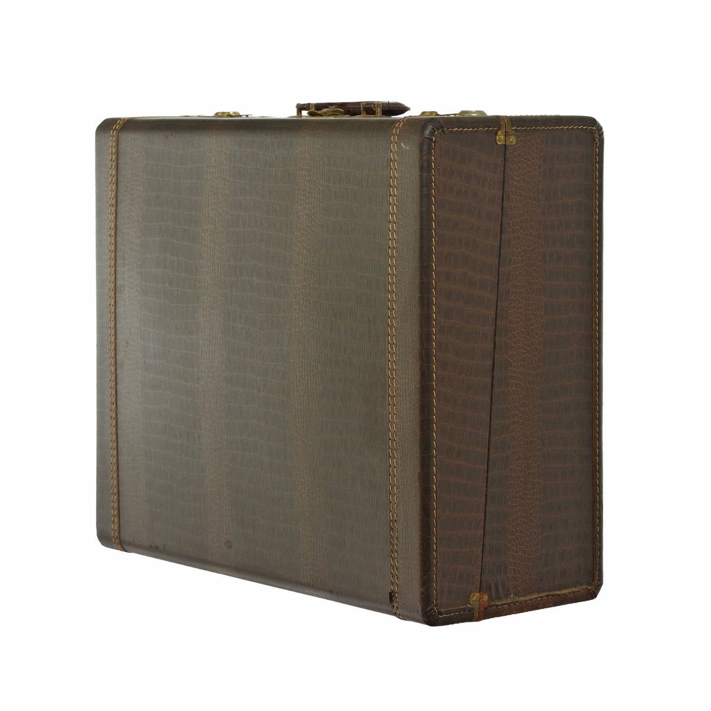 Case for Philharmonic Dual Tone Chamber Electronic Keyboard Accordion