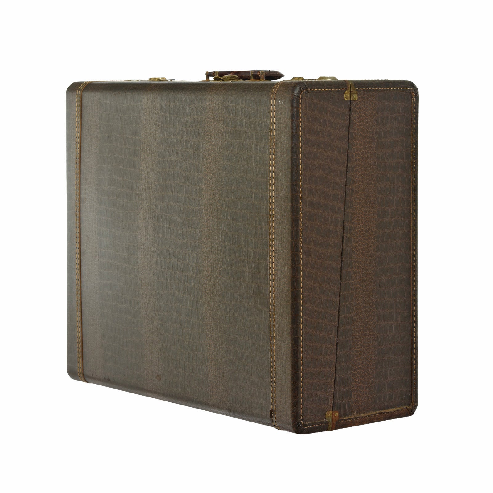 Case for Philharmonic Dual Tone Chamber Electronic Keyboard Accordion
