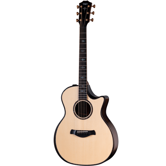 Taylor Builder's Edition 914ce Acoustic Guitar & Case, Front