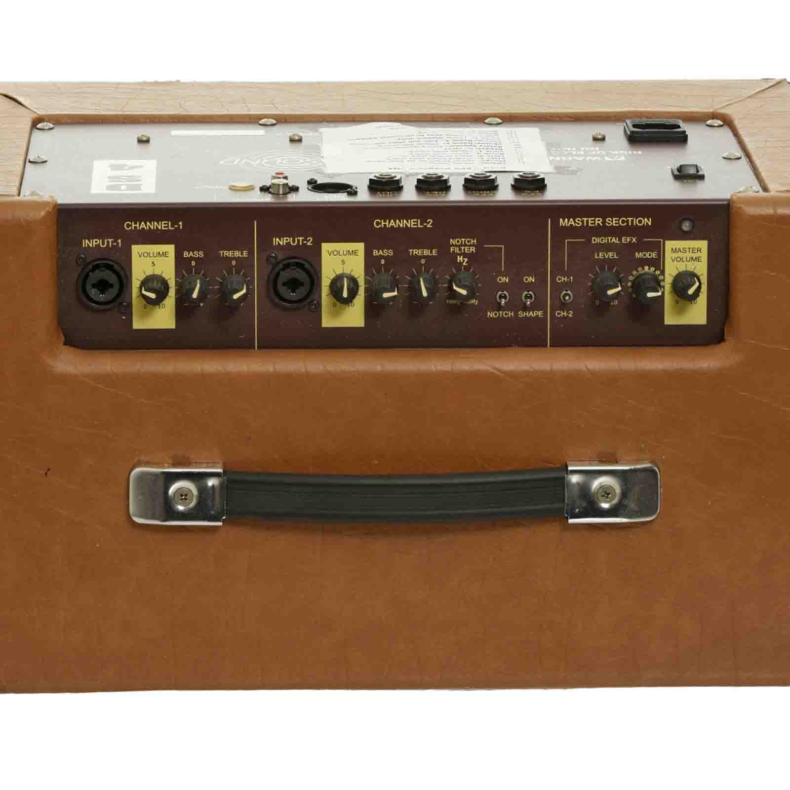 Controls of of Ultrasound DS4 Acoustic Combo Amp