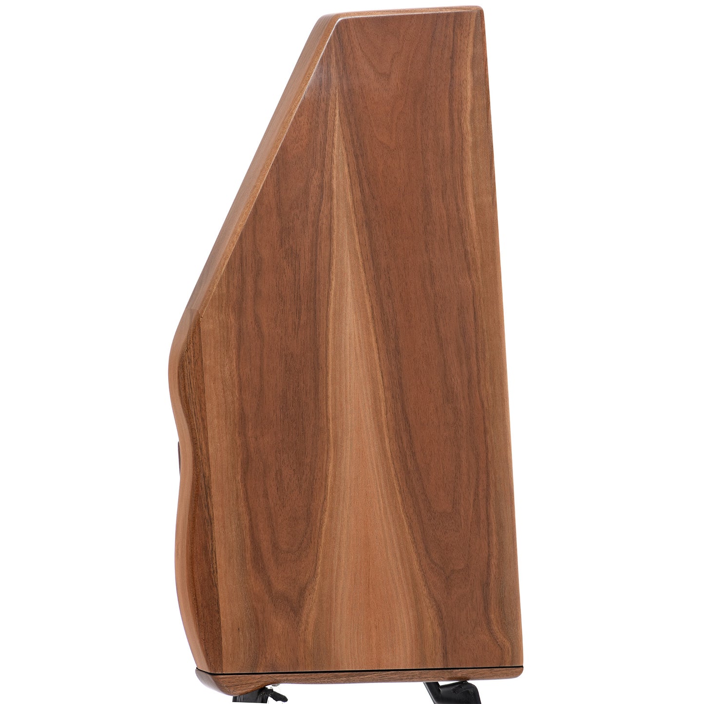 Back of D'Aigle TLC Traditional Luthier's Classic 21-Bar Autoharp & Gigbag