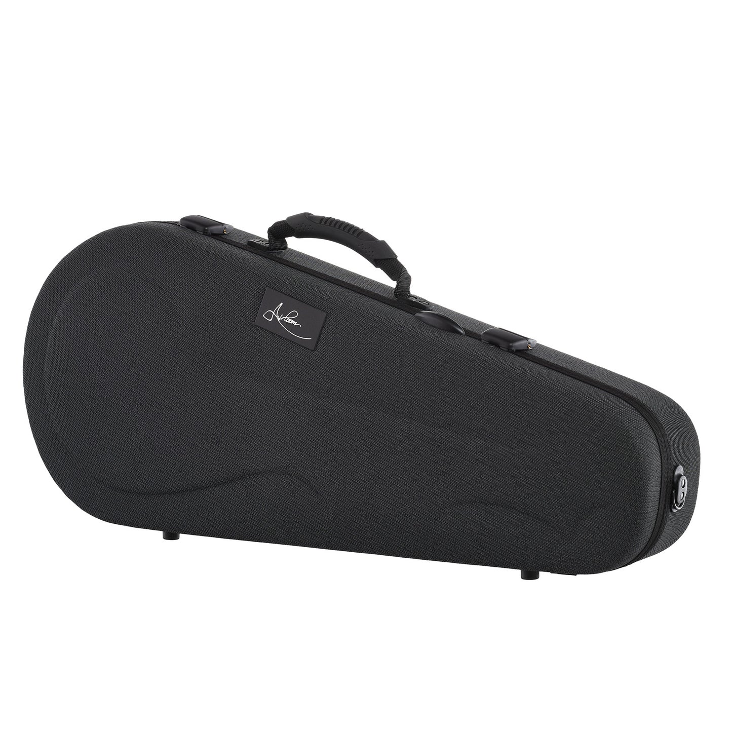 Case for Northfield Workshop  S-Series NFS-F2B Mandolin, Blacktop Oval Soundhole,