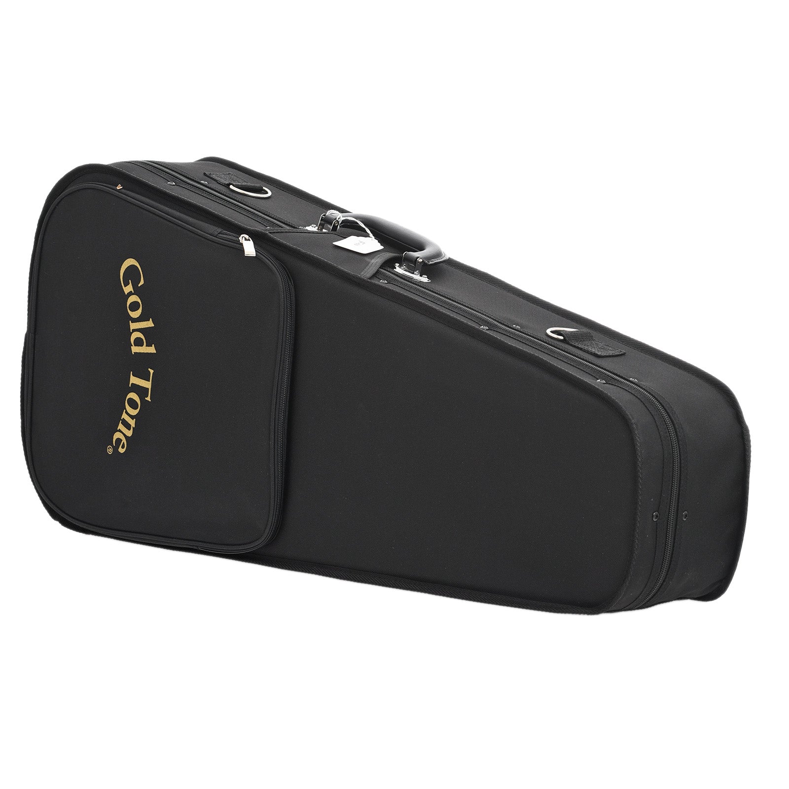 Case for Gold Tone F-10 10-String Mandolin 