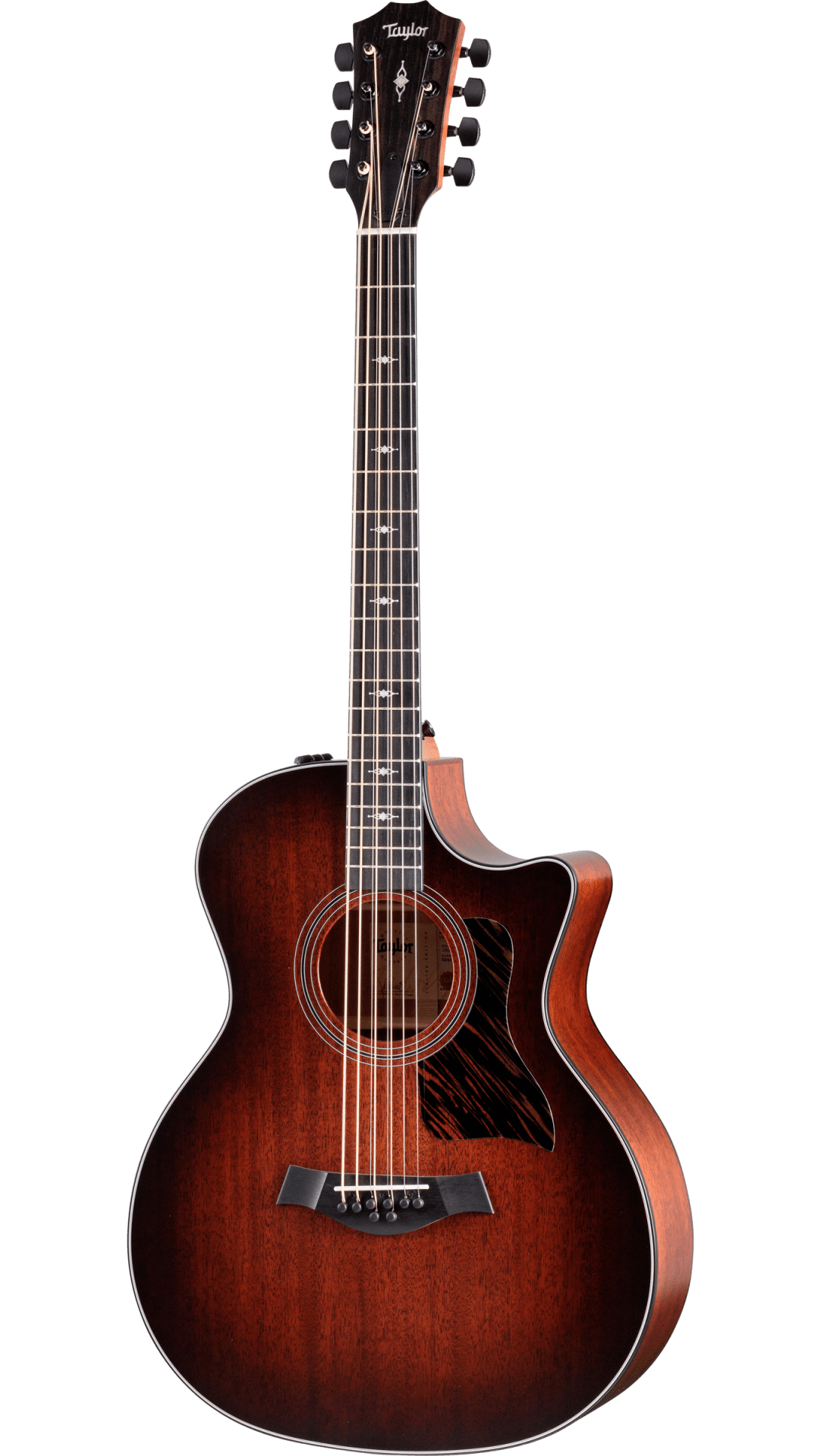 Taylor 324ce Baritone-8 LTD Acoustic Guitar & Case, Front 1