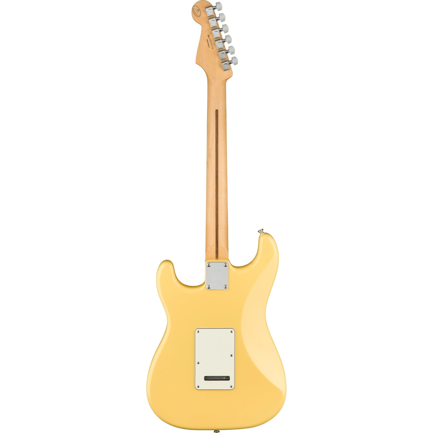 Full Back of Fender Player Stratocaster