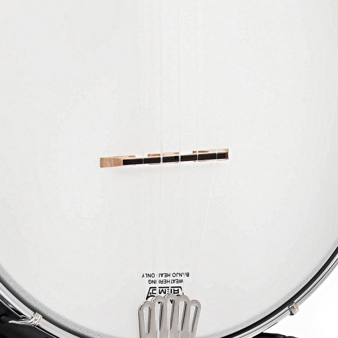 bridge of Gold Tone AC-1FL Fretless Openback