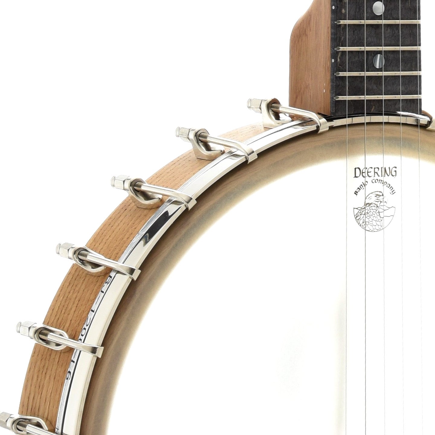 Image 5 of Vega (by Deering) White Oak Openback Banjo & Case, 12" Rim - SKU# VEGAWO12 : Product Type Open Back Banjos : Elderly Instruments