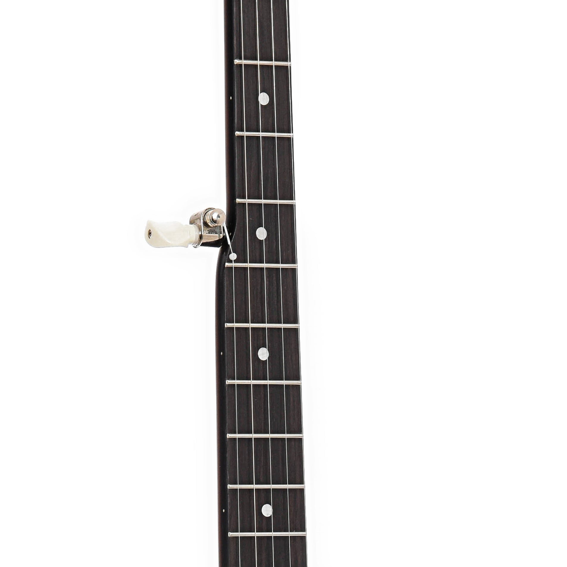 Fretboard of Recording King Madison Whyte Laydie Openback