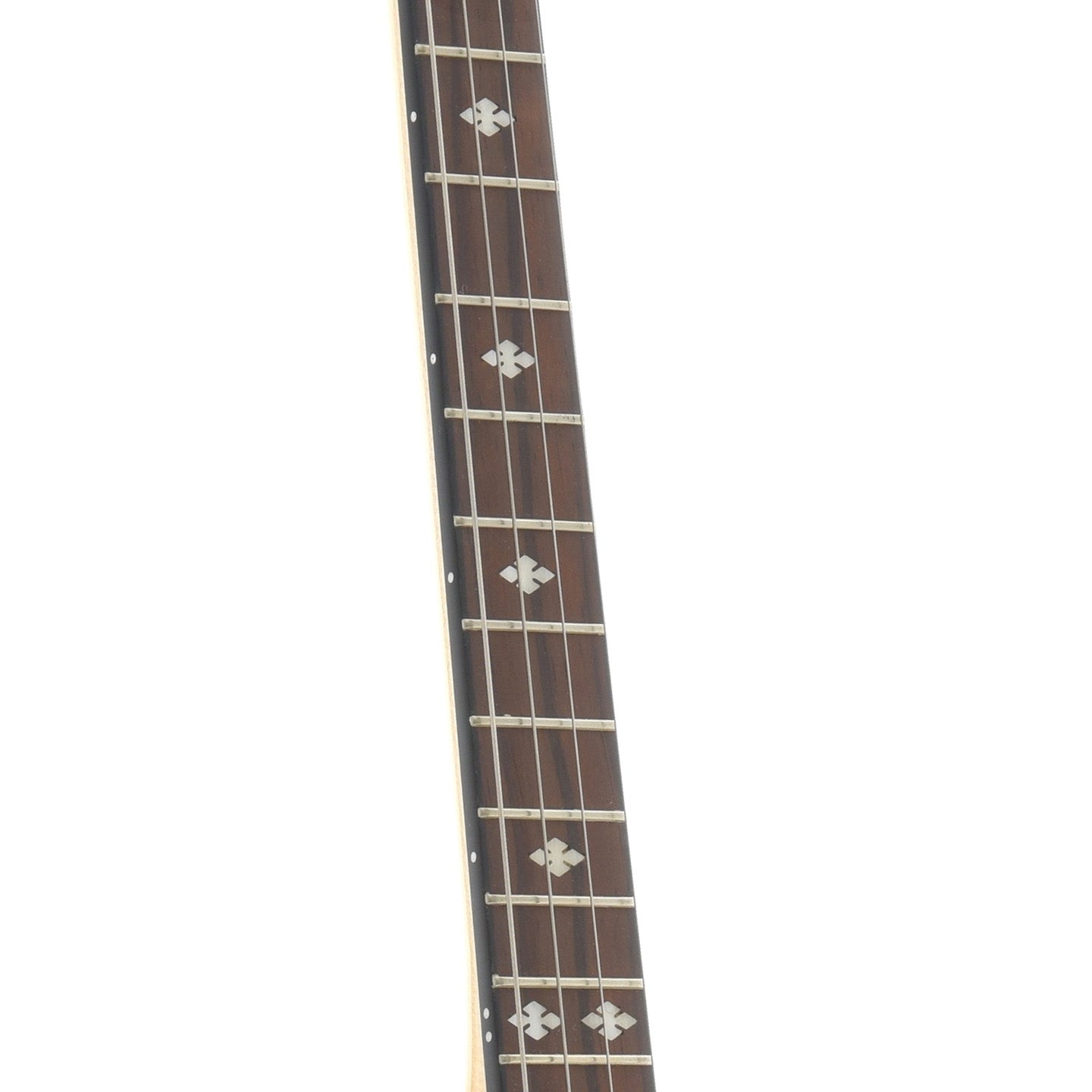 Image 6 of Gold Tone CC-It Irish Tenor Banjo - SKU# GTCCIT : Product Type Tenor & Plectrum Banjos : Elderly Instruments
