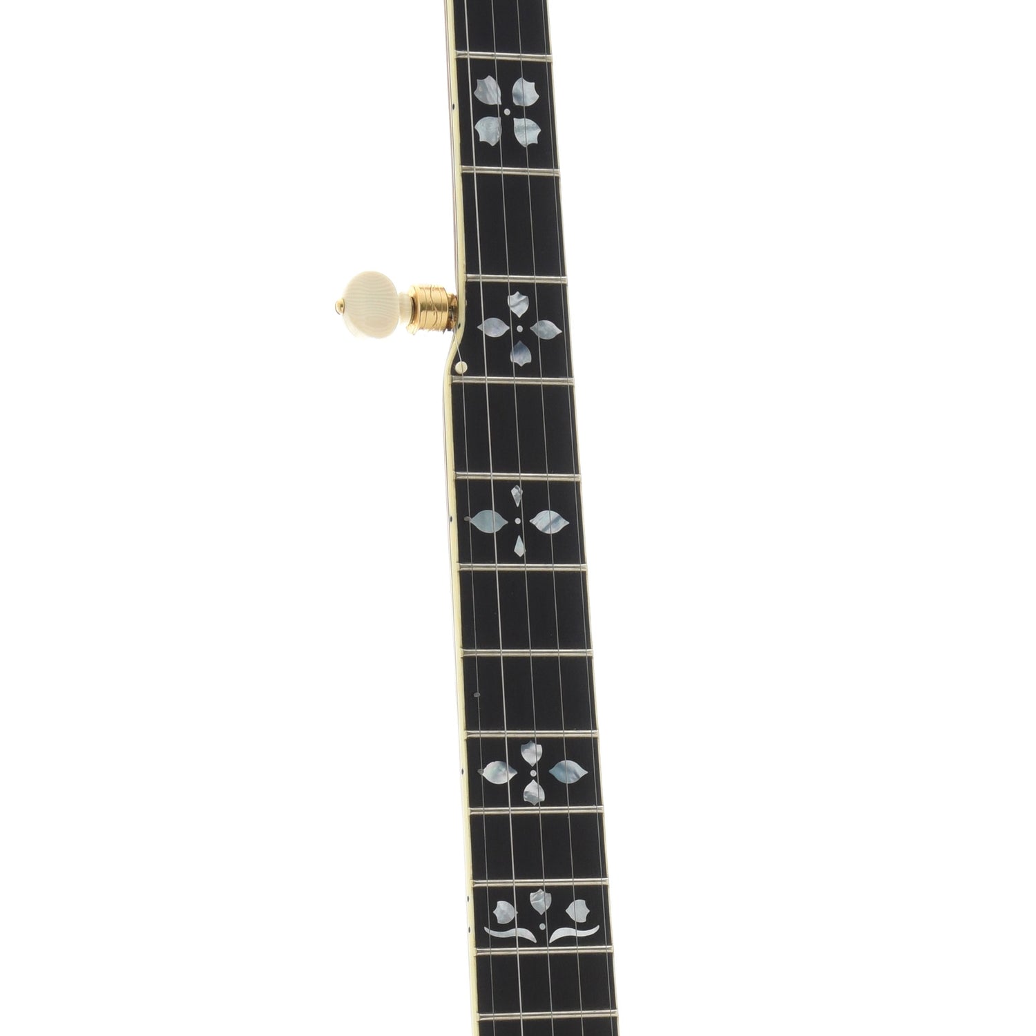 Image 6 of DP Hopkins Maple Golden Deluxe Banjo & Case - SKU# DPH2-2 : Product Type Resonator Back Banjos : Elderly Instruments