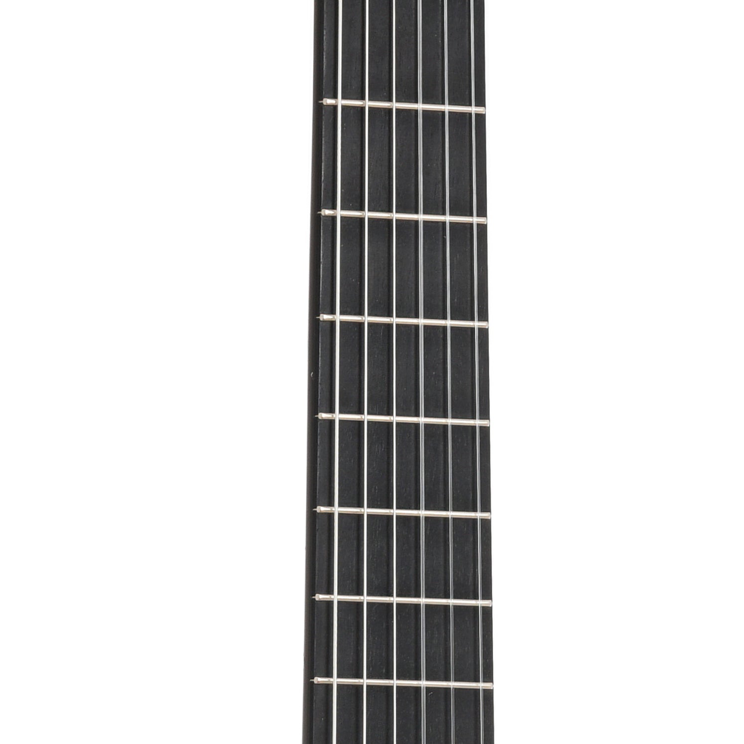 Fretboard of Asturias Custom S Classical Guitar