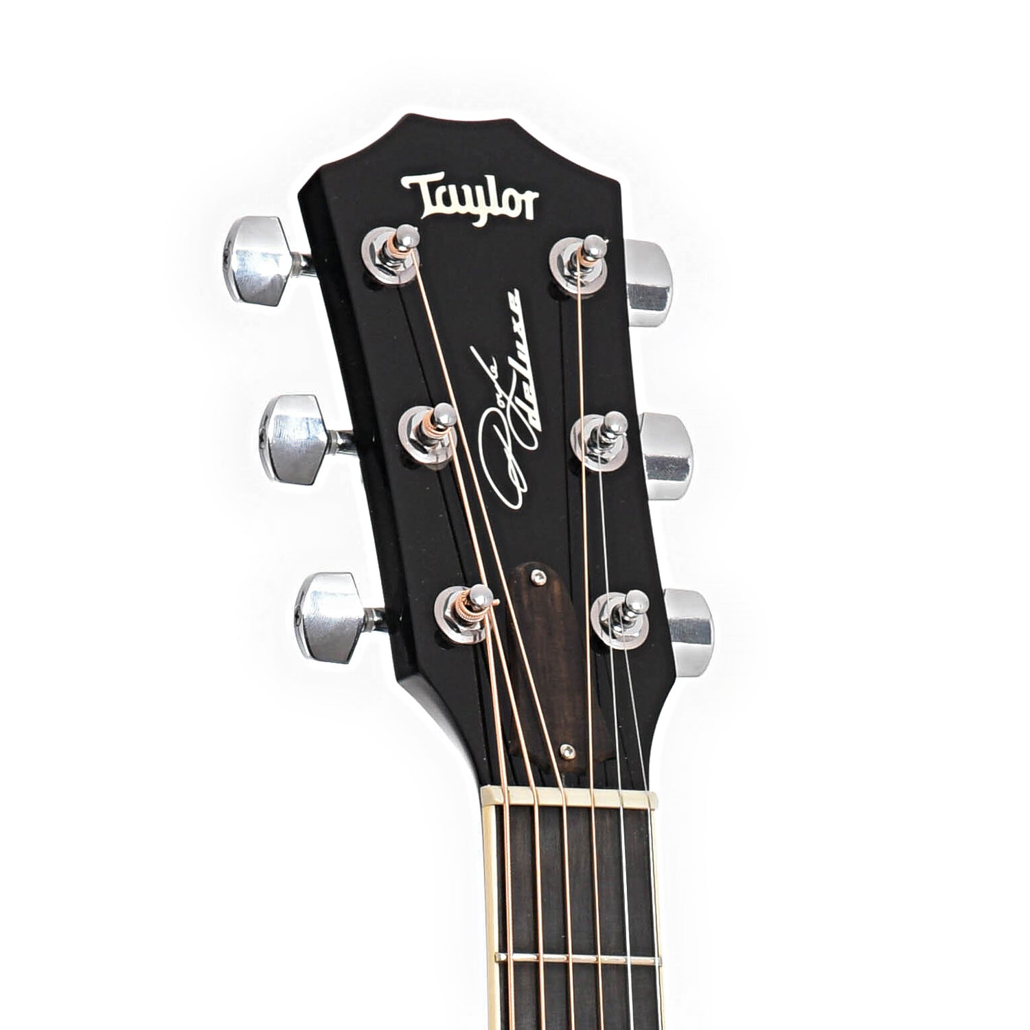 Front headstock of Taylor Doyle Dykes DDX Acoustic